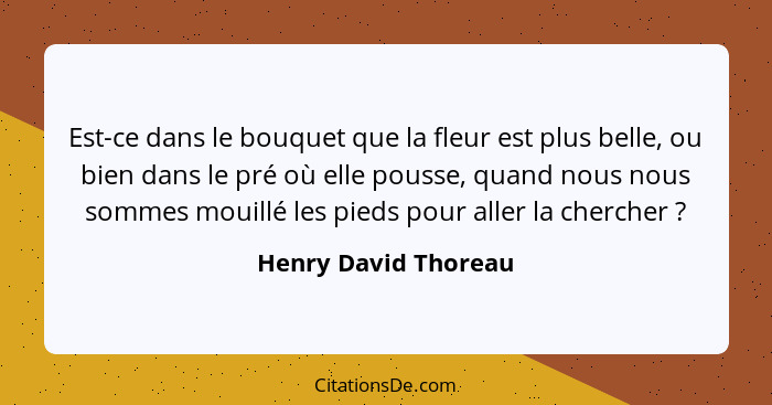 Est-ce dans le bouquet que la fleur est plus belle, ou bien dans le pré où elle pousse, quand nous nous sommes mouillé les pieds... - Henry David Thoreau