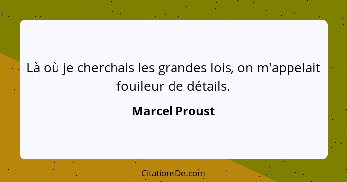 Là où je cherchais les grandes lois, on m'appelait fouileur de détails.... - Marcel Proust