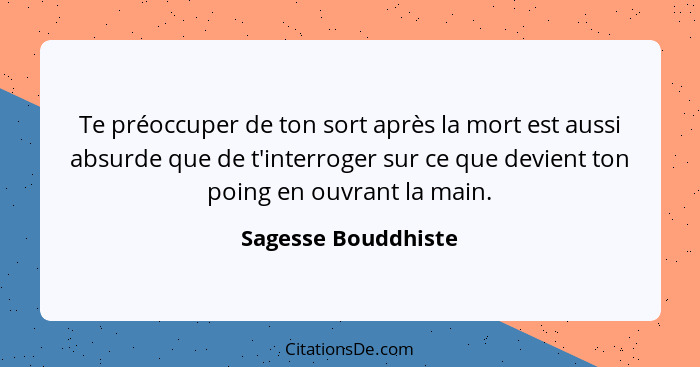 Te préoccuper de ton sort après la mort est aussi absurde que de t'interroger sur ce que devient ton poing en ouvrant la main.... - Sagesse Bouddhiste