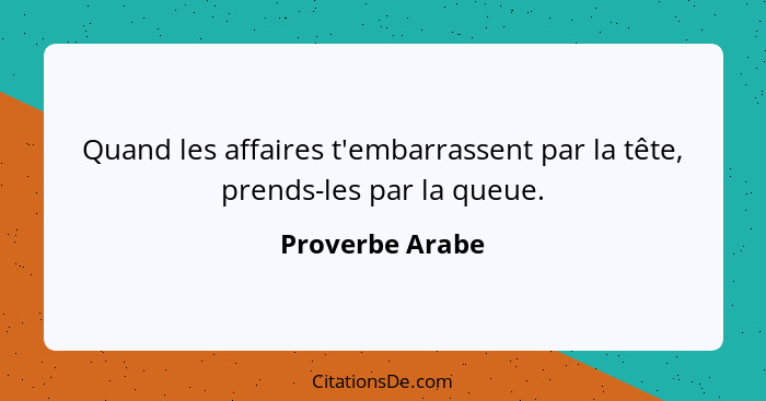 Quand les affaires t'embarrassent par la tête, prends-les par la queue.... - Proverbe Arabe