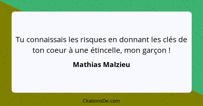 Tu connaissais les risques en donnant les clés de ton coeur à une étincelle, mon garçon !... - Mathias Malzieu