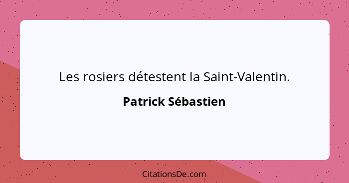 Les rosiers détestent la Saint-Valentin.... - Patrick Sébastien