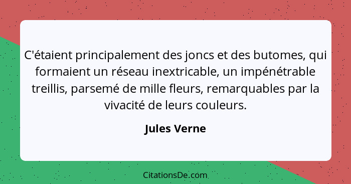 C'étaient principalement des joncs et des butomes, qui formaient un réseau inextricable, un impénétrable treillis, parsemé de mille fleu... - Jules Verne