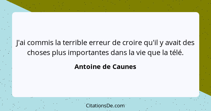 J'ai commis la terrible erreur de croire qu'il y avait des choses plus importantes dans la vie que la télé.... - Antoine de Caunes