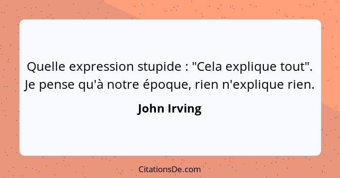Quelle expression stupide : "Cela explique tout". Je pense qu'à notre époque, rien n'explique rien.... - John Irving
