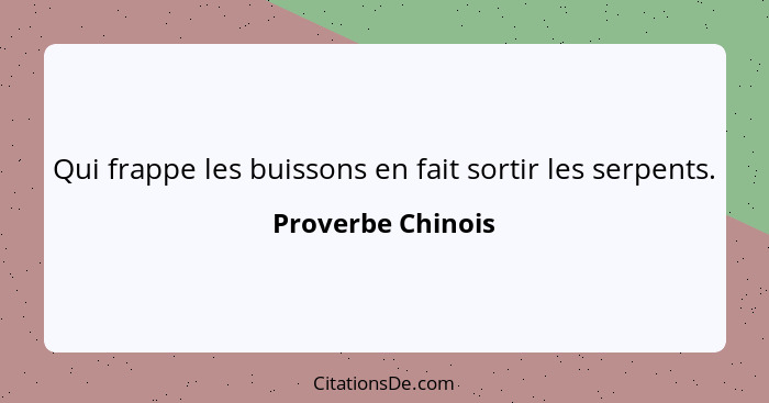 Qui frappe les buissons en fait sortir les serpents.... - Proverbe Chinois