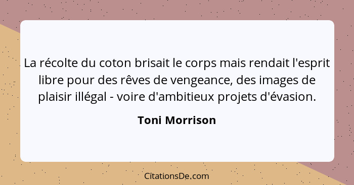 La récolte du coton brisait le corps mais rendait l'esprit libre pour des rêves de vengeance, des images de plaisir illégal - voire d'... - Toni Morrison