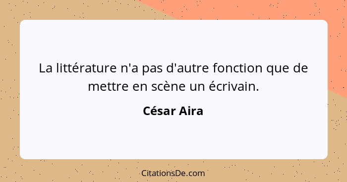 La littérature n'a pas d'autre fonction que de mettre en scène un écrivain.... - César Aira