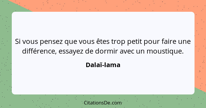 Si vous pensez que vous êtes trop petit pour faire une différence, essayez de dormir avec un moustique.... - Dalaï-lama