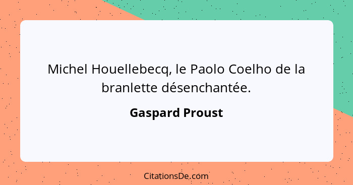 Michel Houellebecq, le Paolo Coelho de la branlette désenchantée.... - Gaspard Proust