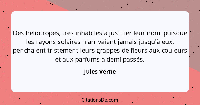 Des héliotropes, très inhabiles à justifier leur nom, puisque les rayons solaires n'arrivaient jamais jusqu'à eux, penchaient tristement... - Jules Verne