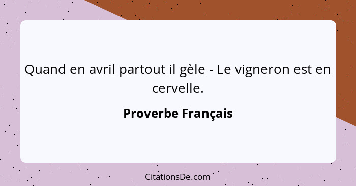 Quand en avril partout il gèle - Le vigneron est en cervelle.... - Proverbe Français