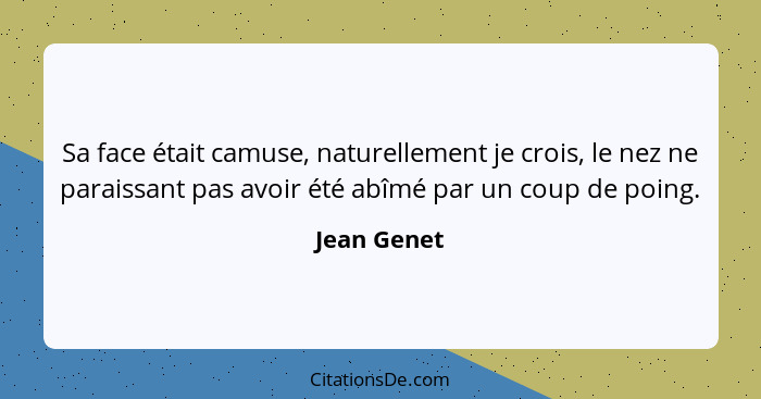 Sa face était camuse, naturellement je crois, le nez ne paraissant pas avoir été abîmé par un coup de poing.... - Jean Genet