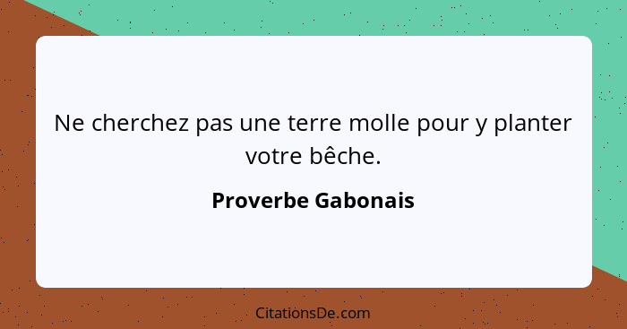 Ne cherchez pas une terre molle pour y planter votre bêche.... - Proverbe Gabonais