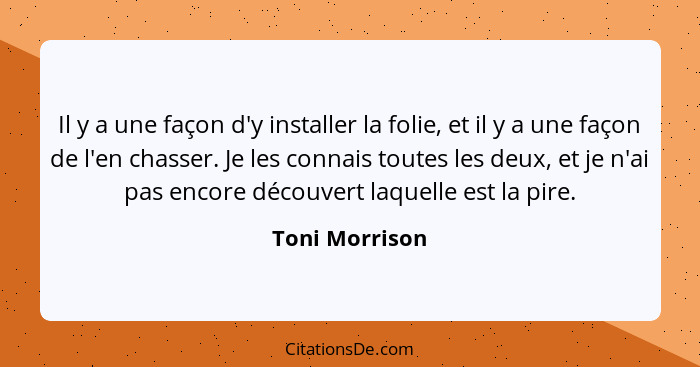 Il y a une façon d'y installer la folie, et il y a une façon de l'en chasser. Je les connais toutes les deux, et je n'ai pas encore dé... - Toni Morrison