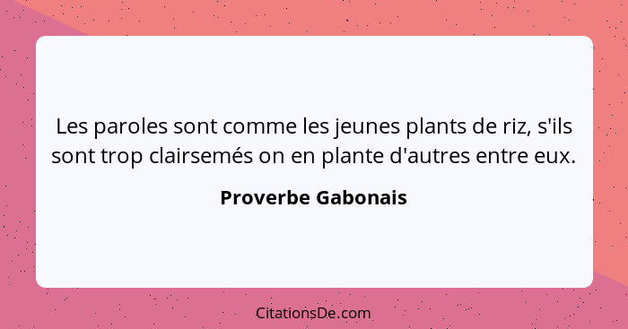 Les paroles sont comme les jeunes plants de riz, s'ils sont trop clairsemés on en plante d'autres entre eux.... - Proverbe Gabonais