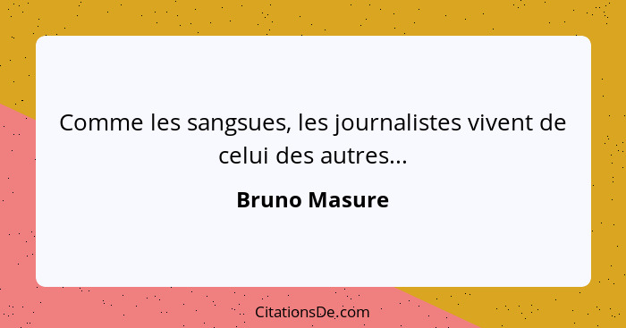 Comme les sangsues, les journalistes vivent de celui des autres...... - Bruno Masure