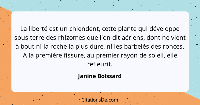 La liberté est un chiendent, cette plante qui développe sous terre des rhizomes que l'on dit aériens, dont ne vient à bout ni la roc... - Janine Boissard