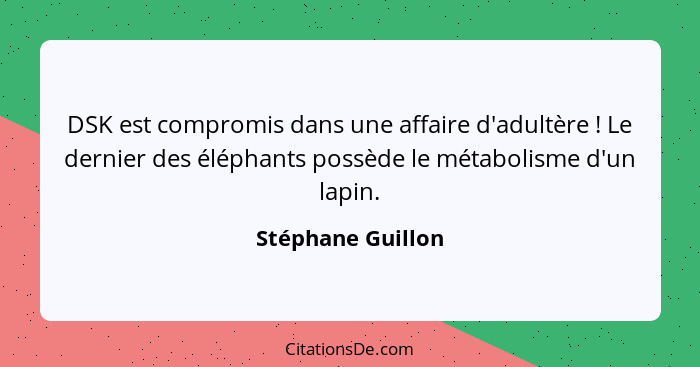 DSK est compromis dans une affaire d'adultère ! Le dernier des éléphants possède le métabolisme d'un lapin.... - Stéphane Guillon