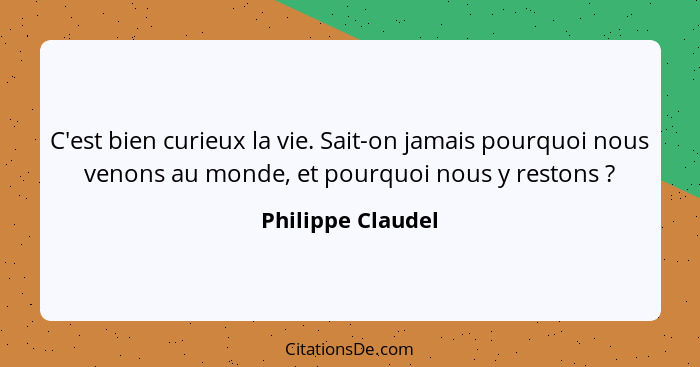 C'est bien curieux la vie. Sait-on jamais pourquoi nous venons au monde, et pourquoi nous y restons ?... - Philippe Claudel