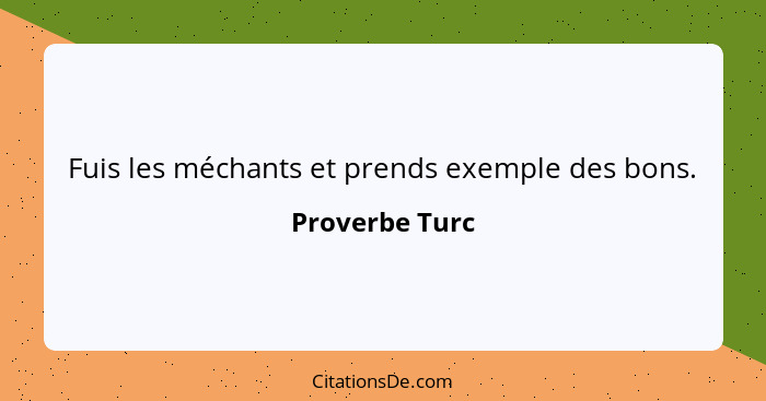 Fuis les méchants et prends exemple des bons.... - Proverbe Turc