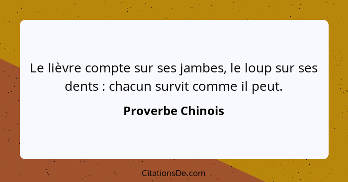 Le lièvre compte sur ses jambes, le loup sur ses dents : chacun survit comme il peut.... - Proverbe Chinois