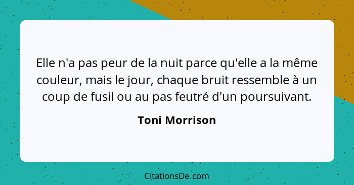 Elle n'a pas peur de la nuit parce qu'elle a la même couleur, mais le jour, chaque bruit ressemble à un coup de fusil ou au pas feutré... - Toni Morrison