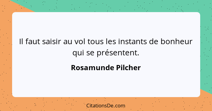 Il faut saisir au vol tous les instants de bonheur qui se présentent.... - Rosamunde Pilcher