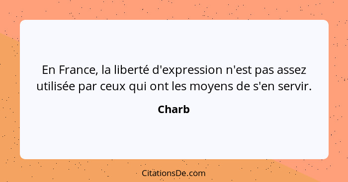 En France, la liberté d'expression n'est pas assez utilisée par ceux qui ont les moyens de s'en servir.... - Charb