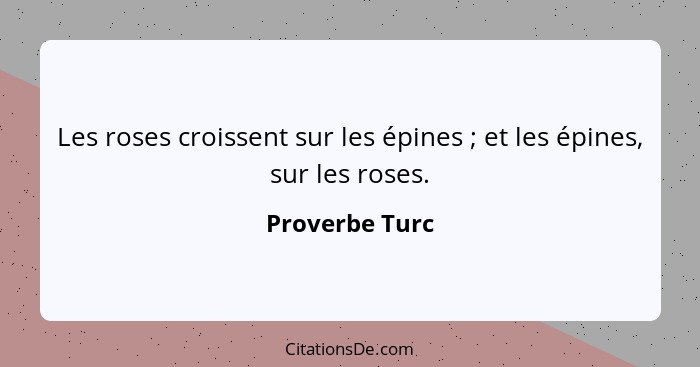 Les roses croissent sur les épines ; et les épines, sur les roses.... - Proverbe Turc