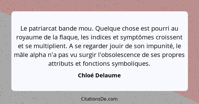 Le patriarcat bande mou. Quelque chose est pourri au royaume de la flaque, les indices et symptômes croissent et se multiplient. A se... - Chloé Delaume