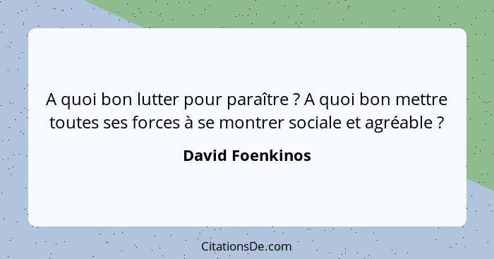 A quoi bon lutter pour paraître ? A quoi bon mettre toutes ses forces à se montrer sociale et agréable ?... - David Foenkinos