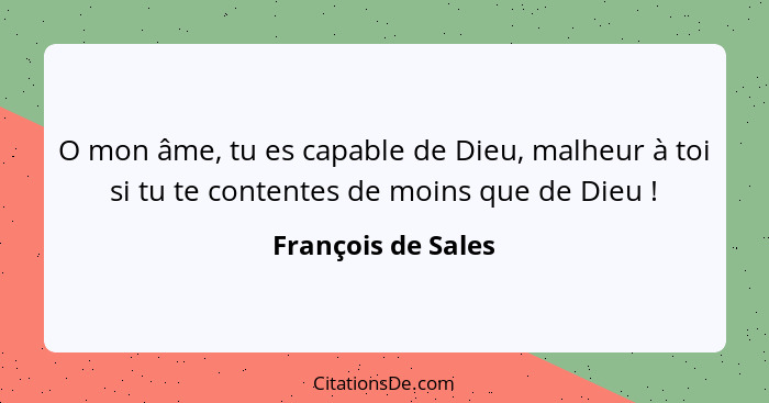 O mon âme, tu es capable de Dieu, malheur à toi si tu te contentes de moins que de Dieu !... - François de Sales