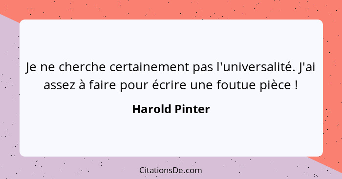 Je ne cherche certainement pas l'universalité. J'ai assez à faire pour écrire une foutue pièce !... - Harold Pinter