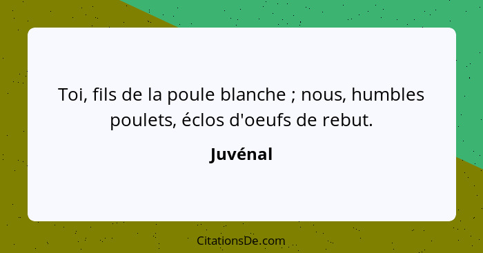 Toi, fils de la poule blanche ; nous, humbles poulets, éclos d'oeufs de rebut.... - Juvénal