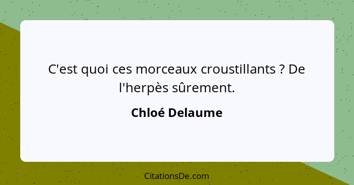 C'est quoi ces morceaux croustillants ? De l'herpès sûrement.... - Chloé Delaume