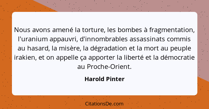 Nous avons amené la torture, les bombes à fragmentation, l'uranium appauvri, d'innombrables assassinats commis au hasard, la misère, l... - Harold Pinter