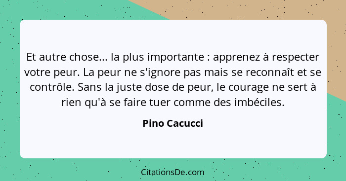 Et autre chose... la plus importante : apprenez à respecter votre peur. La peur ne s'ignore pas mais se reconnaît et se contrôle.... - Pino Cacucci