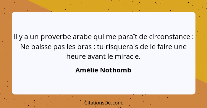 Il y a un proverbe arabe qui me paraît de circonstance : Ne baisse pas les bras : tu risquerais de le faire une heure avant... - Amélie Nothomb