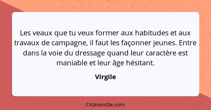 Les veaux que tu veux former aux habitudes et aux travaux de campagne, il faut les façonner jeunes. Entre dans la voie du dressage quand leu... - Virgile