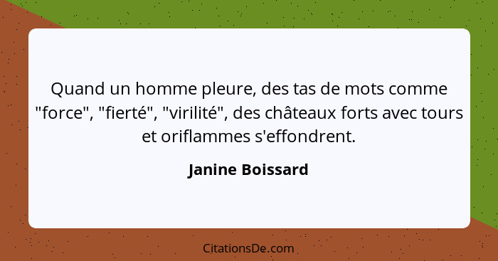 Quand un homme pleure, des tas de mots comme "force", "fierté", "virilité", des châteaux forts avec tours et oriflammes s'effondrent... - Janine Boissard