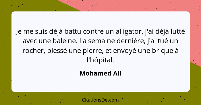 Je me suis déjà battu contre un alligator, j'ai déjà lutté avec une baleine. La semaine dernière, j'ai tué un rocher, blessé une pierre,... - Mohamed Ali