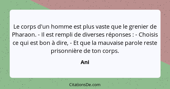 Le corps d'un homme est plus vaste que le grenier de Pharaon. - Il est rempli de diverses réponses : - Choisis ce qui est bon à dire, - Et... - Ani