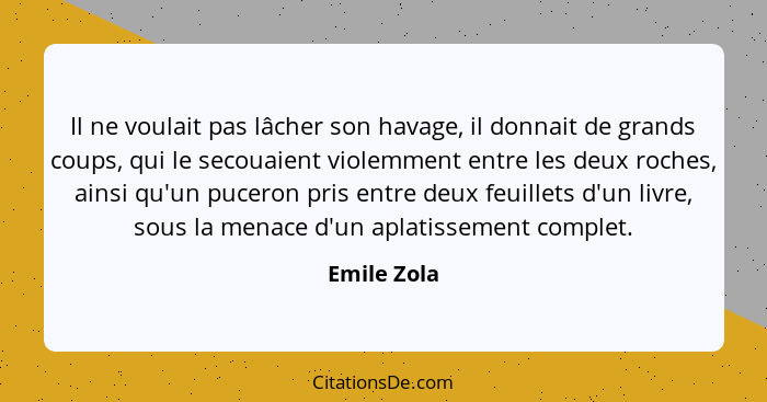 Il ne voulait pas lâcher son havage, il donnait de grands coups, qui le secouaient violemment entre les deux roches, ainsi qu'un puceron... - Emile Zola