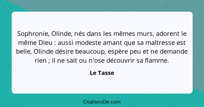 Sophronie, Olinde, nés dans les mêmes murs, adorent le même Dieu : aussi modeste amant que sa maîtresse est belle, Olinde désire beauc... - Le Tasse