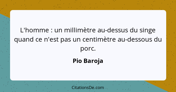 L'homme : un millimètre au-dessus du singe quand ce n'est pas un centimètre au-dessous du porc.... - Pio Baroja