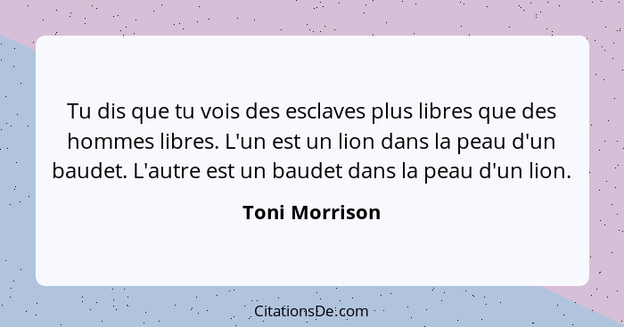 Tu dis que tu vois des esclaves plus libres que des hommes libres. L'un est un lion dans la peau d'un baudet. L'autre est un baudet da... - Toni Morrison