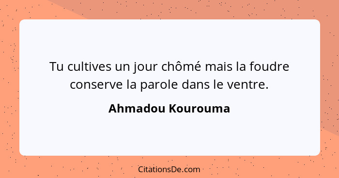 Tu cultives un jour chômé mais la foudre conserve la parole dans le ventre.... - Ahmadou Kourouma