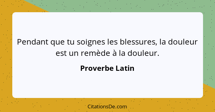 Pendant que tu soignes les blessures, la douleur est un remède à la douleur.... - Proverbe Latin