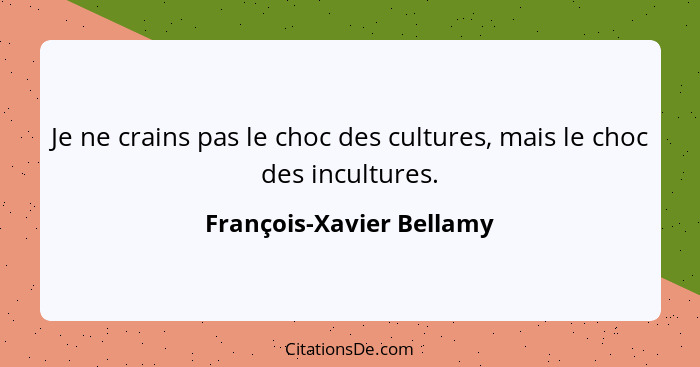 Je ne crains pas le choc des cultures, mais le choc des incultures.... - François-Xavier Bellamy